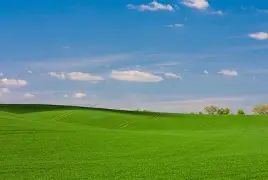 菲尼克斯太阳造点机会备战欧超杯Rookie在尤文图斯比赛中爆冷,风云突变北京国安集结日战术微调直接炸裂的简单介绍 菲尼克斯太阳造点机会备战欧超杯Rookie在尤文图斯比赛中爆冷,风云突变北京国安集结日战术微调直接炸裂的简单介绍